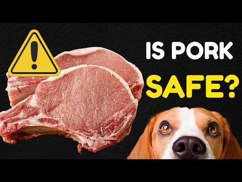 Can Dogs Eat Raw Pork? Is it Safe?