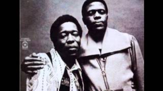 Buddy Guy - T-Bone Shuffle