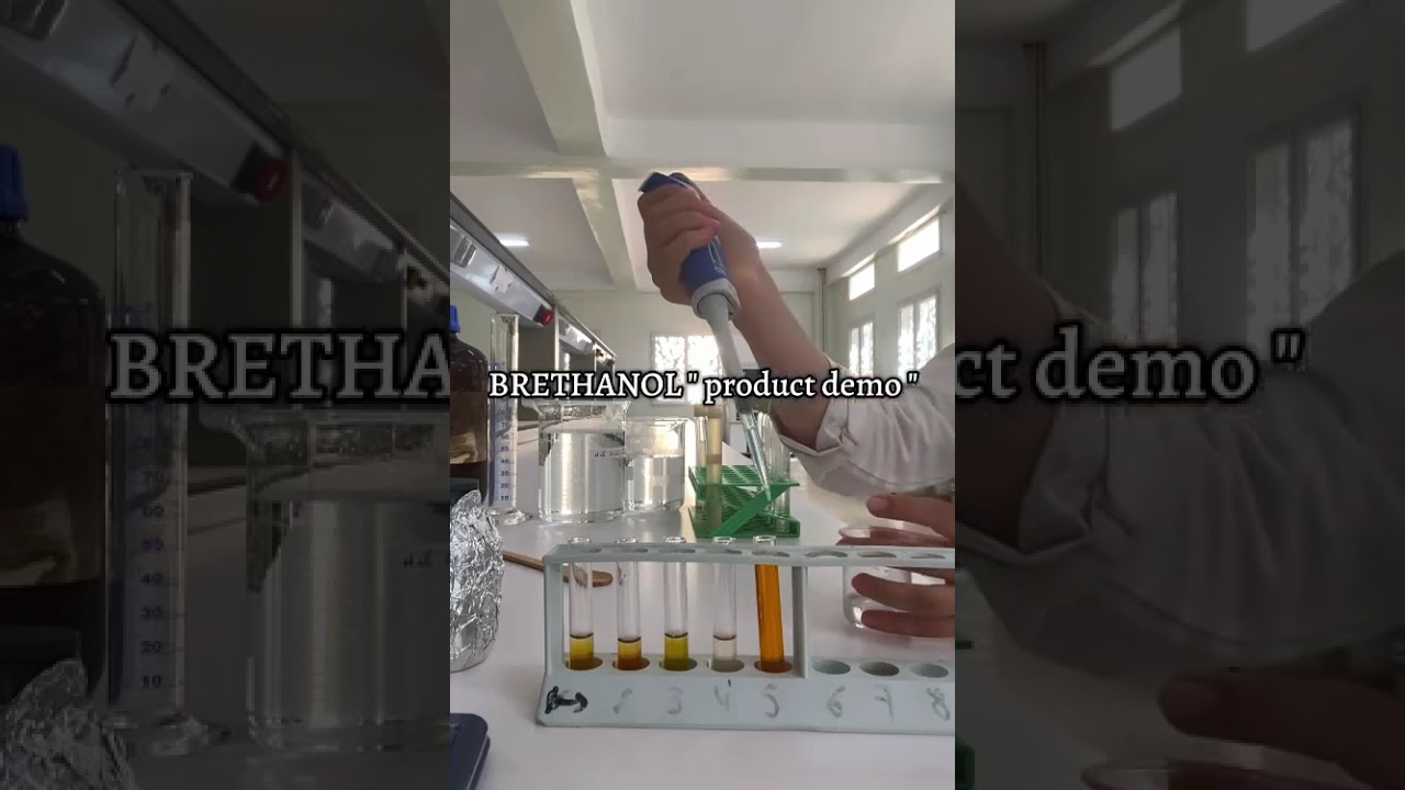 Ethanol production from waste bread - Sustainable Biofuel Innovation