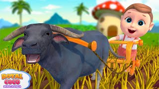 Download lagu Lagu Tarian Hewan - Tarian Binatang | RoyalCoco Bahasa Indonesia - Lagu Anak Anak mp3 Download lagu Lagu Tarian Hewan - Tarian Binatang | RoyalCoco Bahasa Indonesia - Lagu Anak Anak mp3