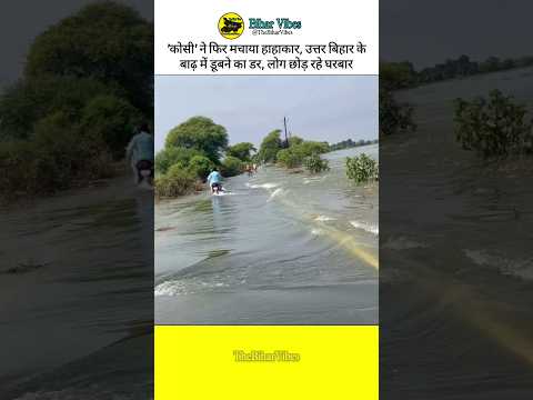 koshi nadi khagaria | koshi nadi supaul | kosi nadi saharsa | Bihar Flood | #bihar #flood #ytviral