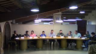 Ple ordinari del 27 de febrer de 2025