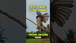 Download lagu PECINTA BARET HITAM SUMBAR/KUTILANG PERAK mp3 Download lagu PECINTA BARET HITAM SUMBAR/KUTILANG PERAK mp3