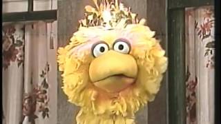 Sesame Street - I&#39;m Glad I&#39;m Me