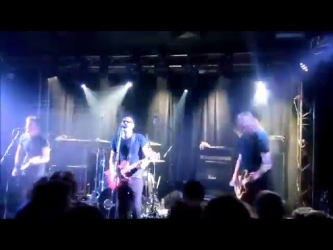Not Scientists (live @ l'Astrolabe - 2016)