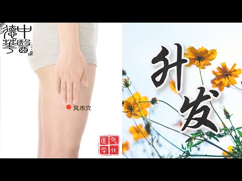 居家养生扶正 风市穴