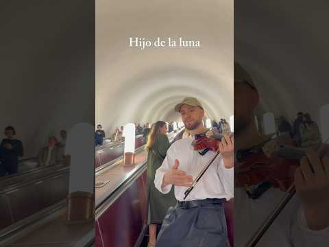 Hijo de la luna #violin #violinmusic #violinist #music #fyp #violincover #livemusic #demidov #shorts