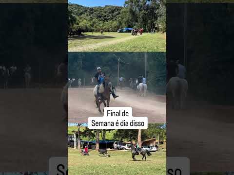 Torneio de Laço Bunitinho Piên PR