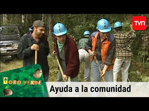 Ayuda a la comunidad | Oro verde - T1E26