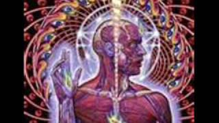 Tool- The Gaping Lotus Experience