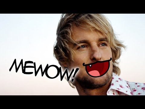 Cats Meowing Like Owen Wilson