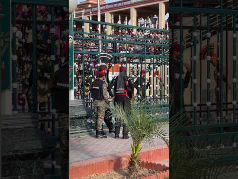 Hum Pakistani Mujahid Hain | Pakistan Zindabad 🫡 #shortsfeed #trending #viral