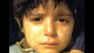 FAN VIDEO # 5 - Señor Juez