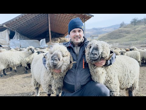 FERMA MILITARU DIN PRAHOVA! PLANURI PENTRU 2024