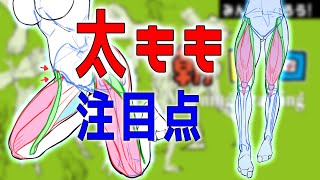  - よくわかる太ももの筋肉　朝ドロ#114　 ９０秒ドローイング  【初心者歓迎】Explanation of thigh muscles.