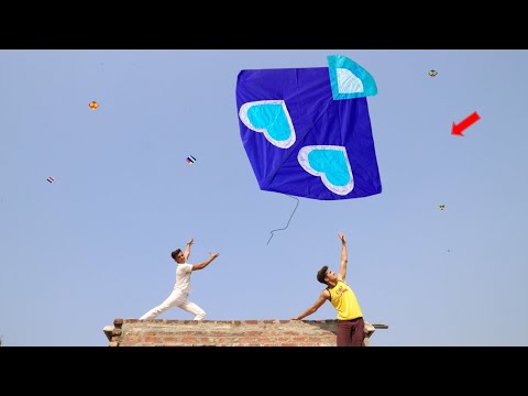 Cutting 2 Gudda Caught Umer | Kite 🪁