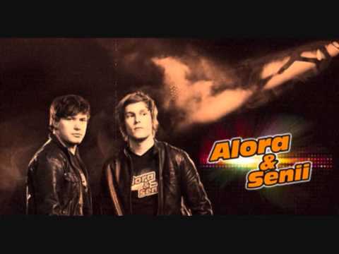 David Guetta vs Showtek & Noise Controllers  Play Hard & Get Loose Alora & Senii Mash Up!)