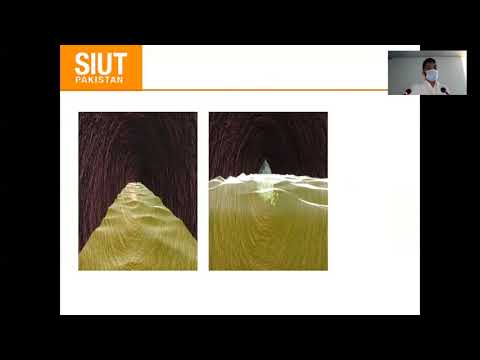 Pyelonephritis (Specific Infections of GU tract)