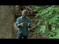 Growing a Greener World Episode 314 - Moss Gardens