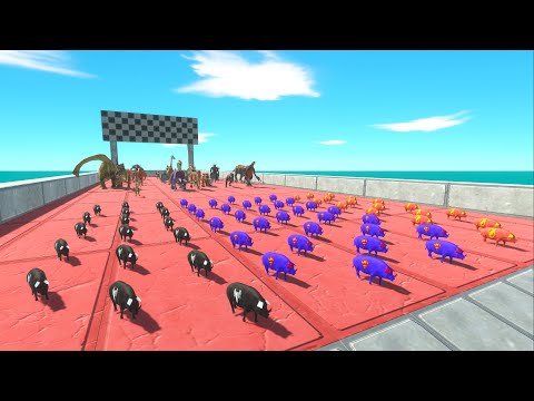 RACE TO EAT SUPERHEROES PIGS FLASH, SUPERMAN, VENOM - Animal Revolt Battle Simulator