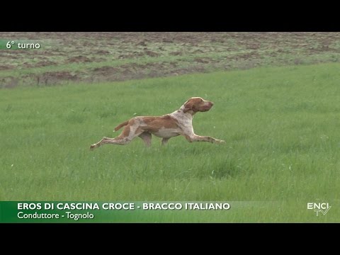 DERBY CONTINENTALI 2017 - BATTERIA 1 CONTINENTALI ITALIANI