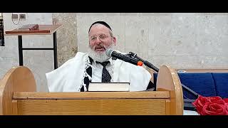 הרב יצחק לוי | רב העיר נשר | ל' תשרי תשפ"ו | הלל בראש חודש (הרב יצחק לוי) - התמונה מוצגת ישירות מתוך אתר האינטרנט יוטיוב. זכויות היוצרים בתמונה שייכות ליוצרה. קישור קרדיט למקור התוכן נמצא בתוך דף הסרטון
