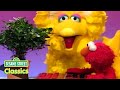 Elmo Plays Catch With A Plant Sesame Street Classics