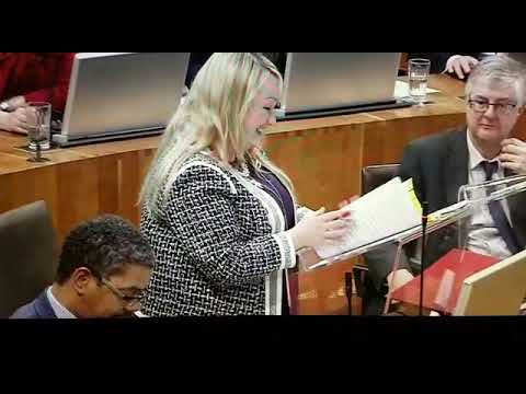Neil McEvoy at welsh assembly, children's services