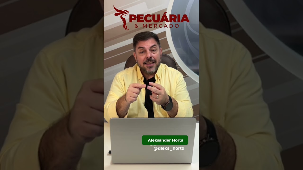Pecuária em 2027 terá boa valorização da arroba #arrobadoboi #gado #pecuária #boigordo