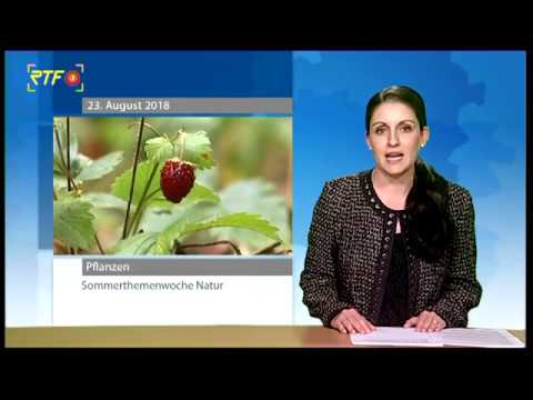 RTF.1-Sommerthemenwoche Natur: Pflanzen in der Region