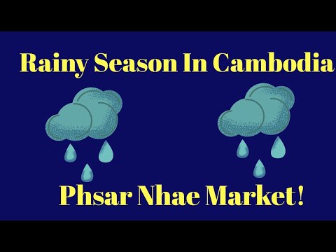 Rainy Season In Cambodia! Phsar Nhae Market!