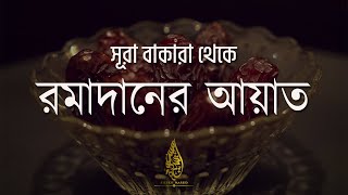 Download lagu Beautiful Quran Tilawat Surah Baqarah 183-187 | Ayah Of Ramadan | সূরা আল বাকারা। Sheikh Masud mp3 Download lagu Beautiful Quran Tilawat Surah Baqarah 183-187 | Ayah Of Ramadan | সূরা আল বাকারা। Sheikh Masud mp3