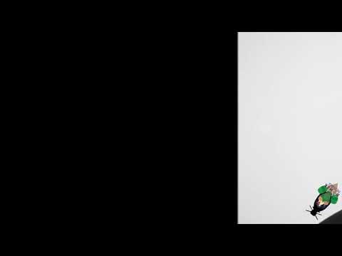 Khumz Taylor :ama blessed, nasty c rowlene cover