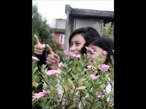 happy birthday preshita