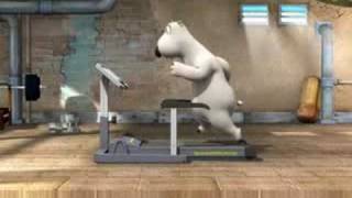 polar bear treadmill fall