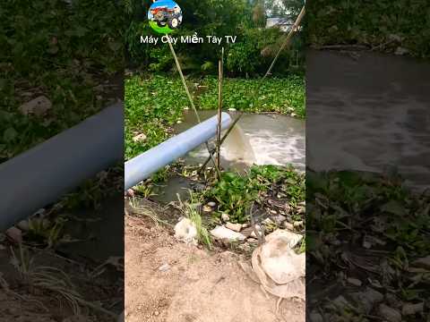 Mẹo Chạy Máy Bơm Nước Hay #mientay #máycàymiềntâytv #agrimotor #tractor