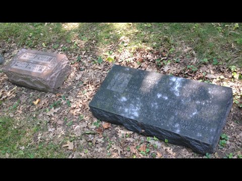 TheDailyWoo - 763 (8/3/14) Grave Of Uncle Remus Video