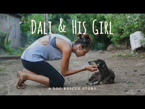 Dali & His Girl ~ a short film