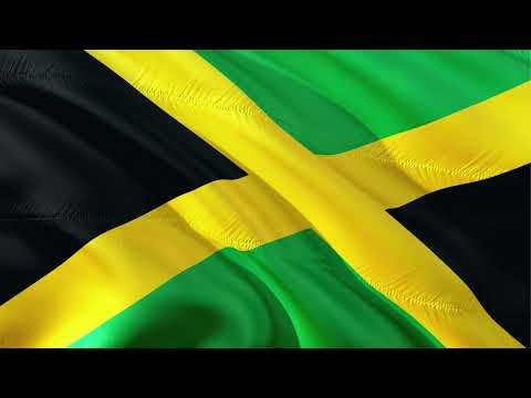 Zebra are you so like me -  The Tribute Drop Draws Riddim