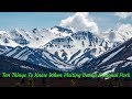 Top 10 Things to Know When Visiting Denali National Park