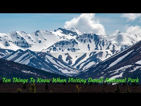 Top 10 Things to Know When Visiting Denali National...