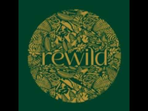 Shringaar (feat. Bhanwari Devi)