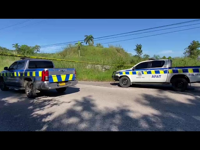 WATCH: Two alleged gunmen fatally shot in Mandeville