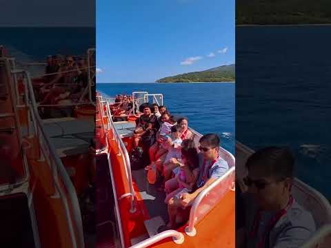 Thumbnail for #carnivalsplendor #vanuatu #frenchpolynesia #mysteryisland