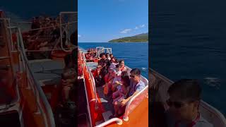 #carnivalsplendor #vanuatu #frenchpolynesia #mysteryisland