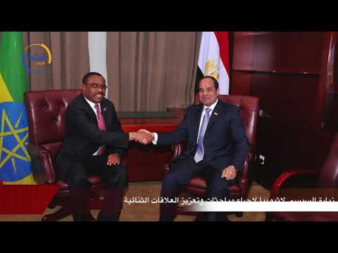 السيسى يعيد مصر إلى زعامة إفريقيا