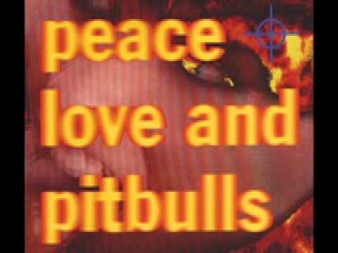 Peace Love And Pitbulls - 01 - (I'm The) Radio King Kong