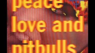 Peace Love And Pitbulls - 01 - (I'm The) Radio King Kong