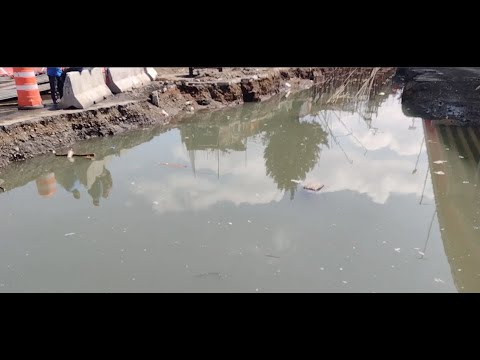 Una semana sin ser reparada una fuga de agua en el Puente Rojo Vehicular