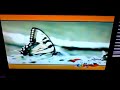 Weta Kids 2000